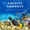 Natural Sounds Selections, Nature Sound Collection & Zen Sounds - Aquatic Ambience