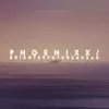beanie boy - Phoenixx / Brighterfutureahead - EP